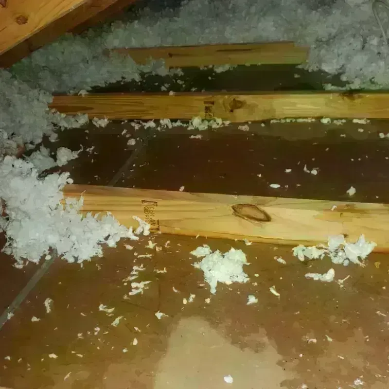 Attic Water Damage in Jefferson County, IA