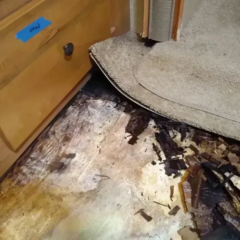 Wood Floor Water Damage in Jefferson County, IA